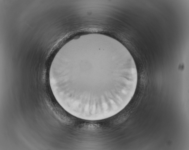 X0000115170304200912091030