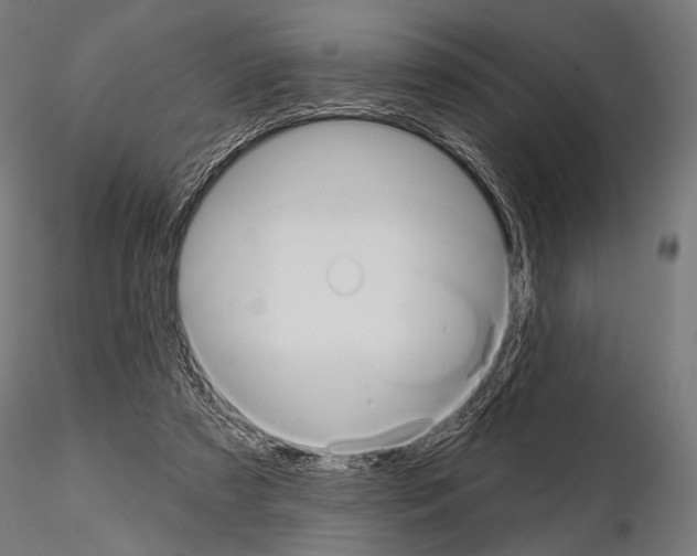 X0000115170305200912091030