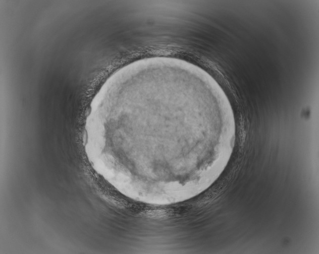 X0000115170307200912091030