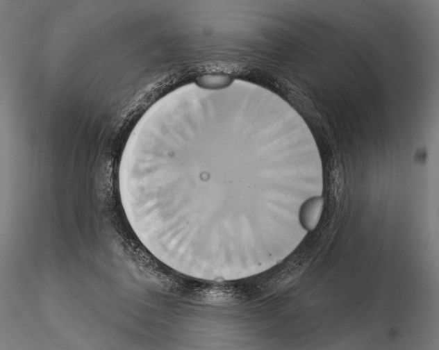 X0000115170308200912091030