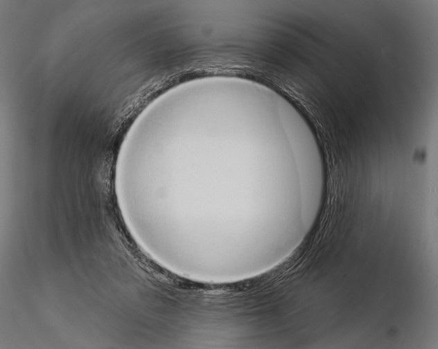 X0000115170309200912091030