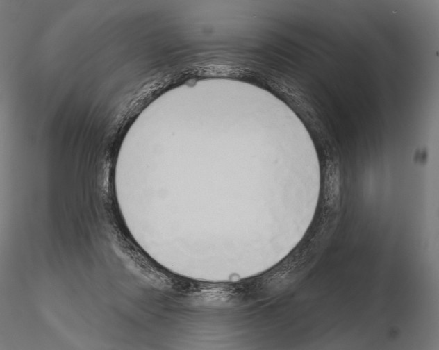 X0000115170310200912091030