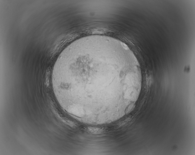 X0000115170311200912091030