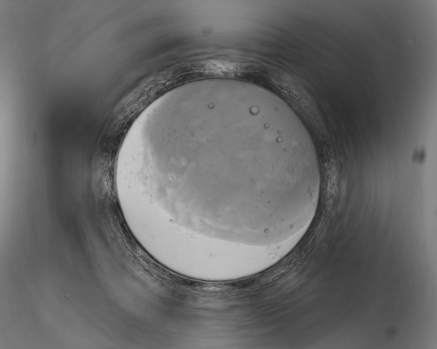 X0000115170313200912091030