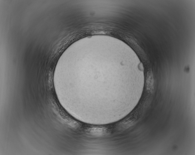 X0000115170314200912091030