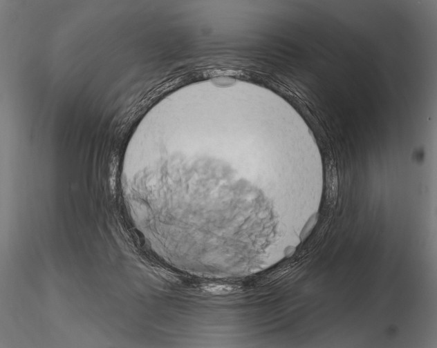 X0000115170315200912091030