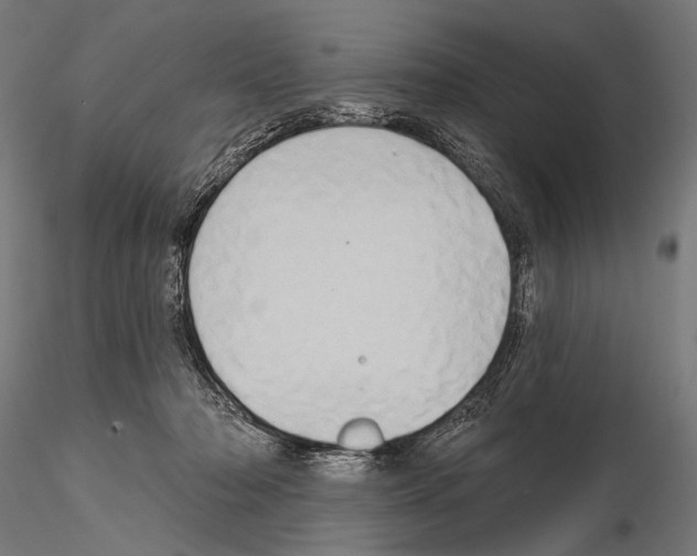 X0000115170318200912091030