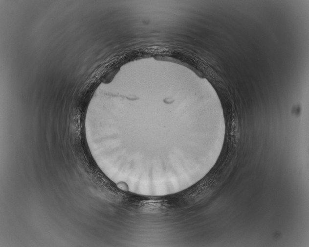 X0000115170320200912091030