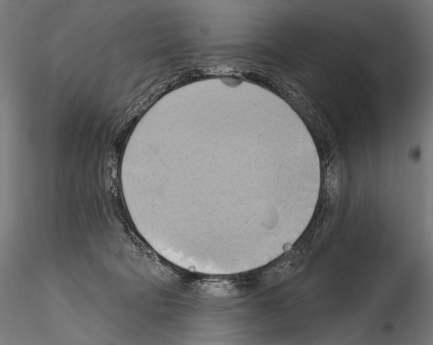 X0000115170322200912091030