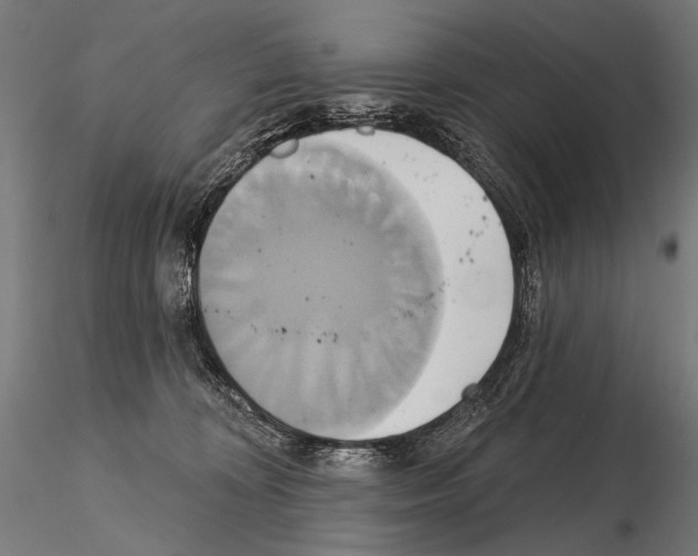 X0000115170324200912091030