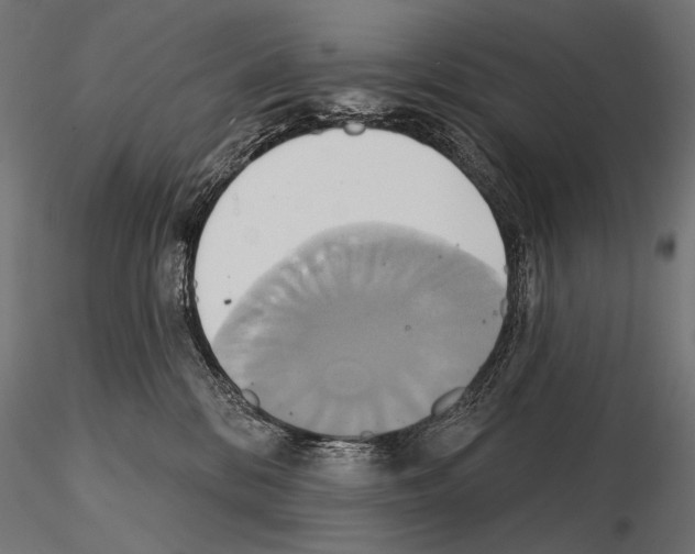 X0000115170328200912091029