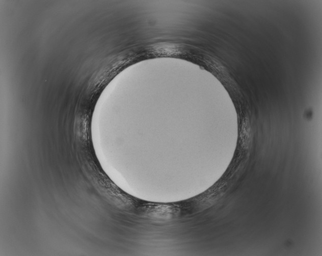 X0000115170330200912091029