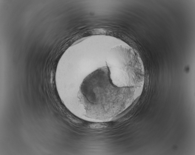 X0000115170331200912091029