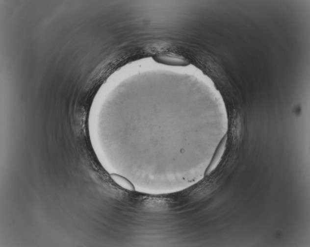 X0000115170332200912091029