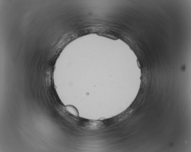 X0000115170333200912091029