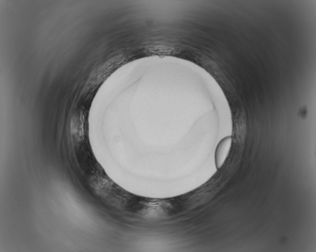 X0000115170334200912091029