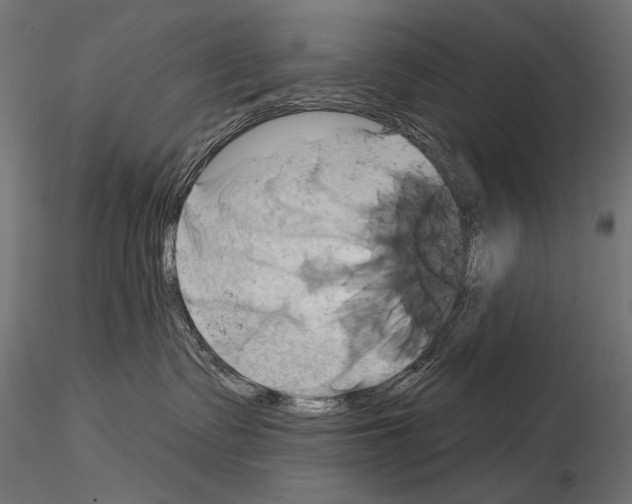 X0000115170335200912091029