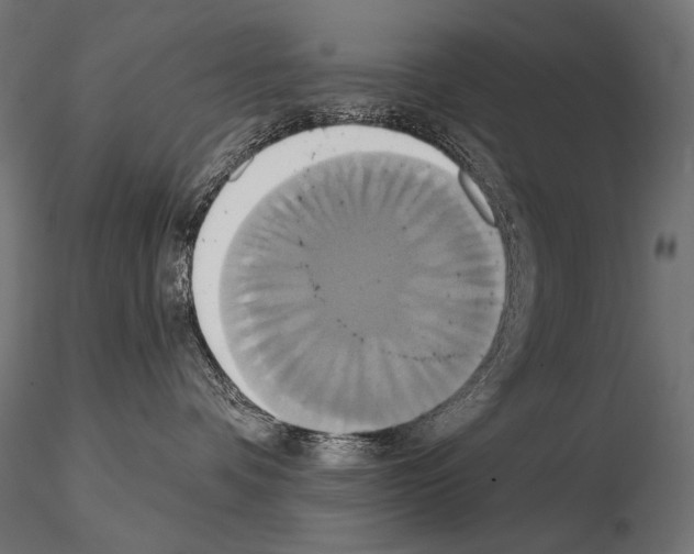 X0000115170336200912091029