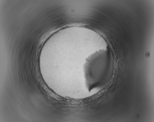 X0000115170337200912091029