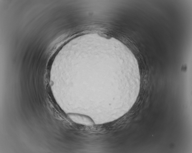 X0000115170338200912091029