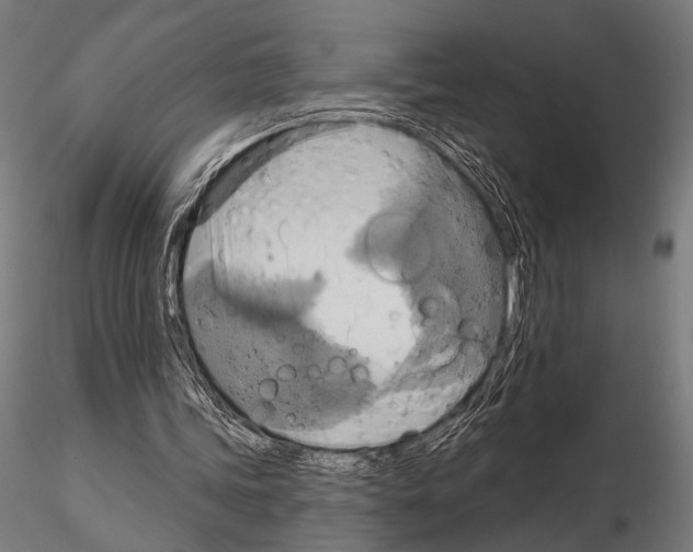 X0000115170339200912091029