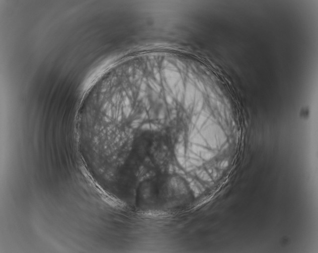 X0000115170341200912091029