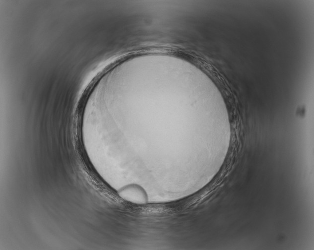 X0000115170342200912091029