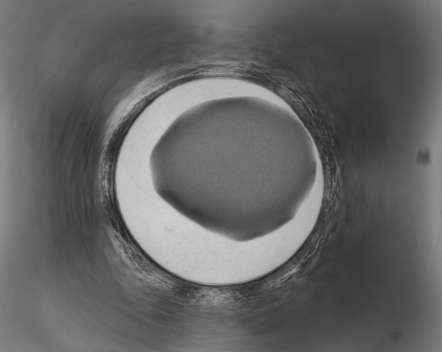 X0000115170343200912091029