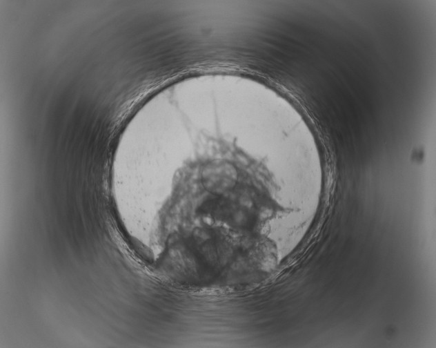 X0000115170345200912091029