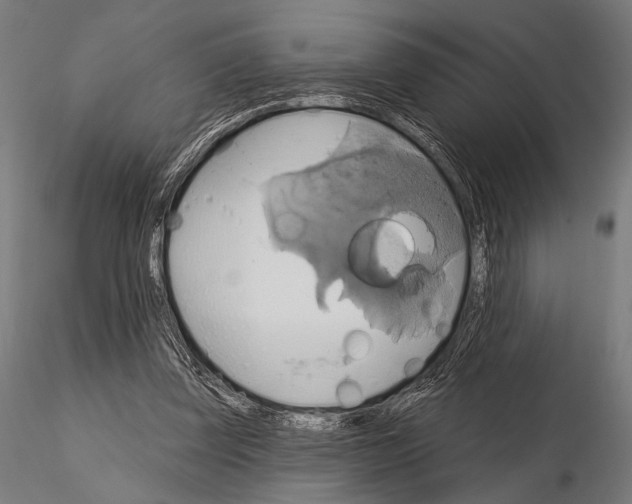 X0000115170347200912091029