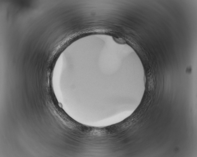 X0000115170350200912091029