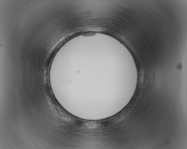 X0000115170351200912091029