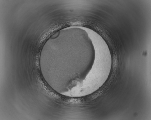 X0000115170353200912091029