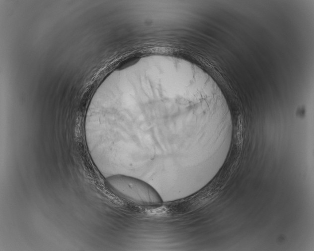 X0000115170355200912091029