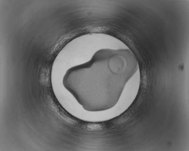 X0000115170357200912091029