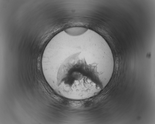 X0000115170359200912091029