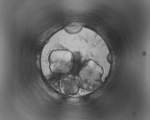 X0000115170361200912091029