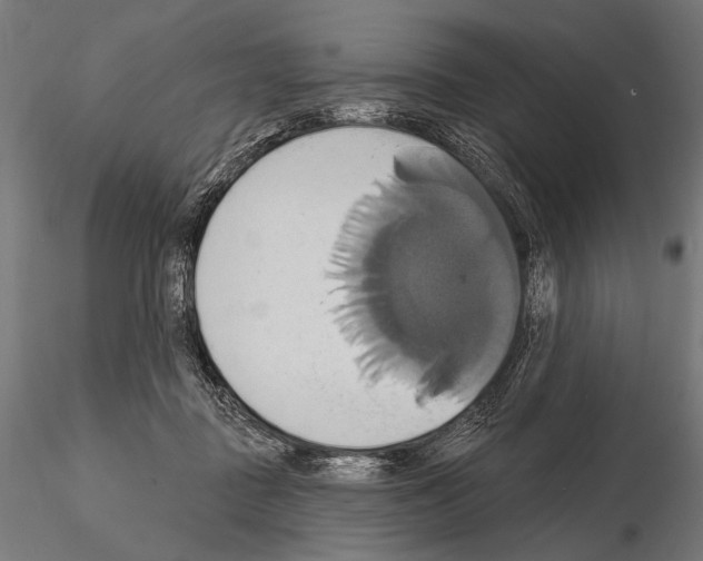 X0000115170363200912091029