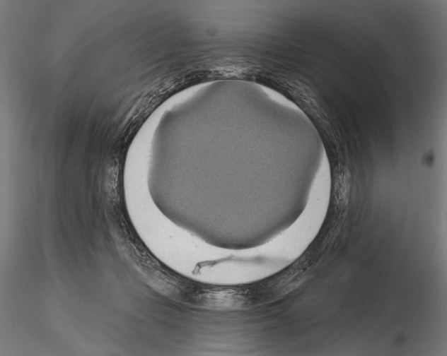 X0000115170365200912091029