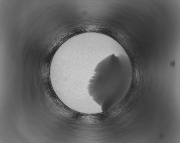 X0000115170367200912091029