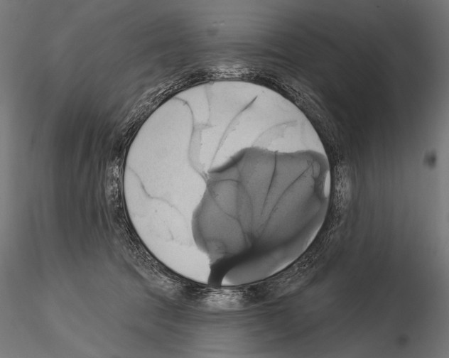 X0000115170369200912091029