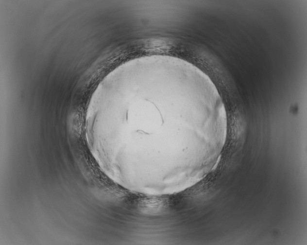 X0000115170370200912091029