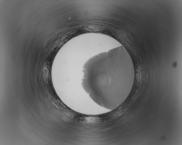 X0000115170371200912091029