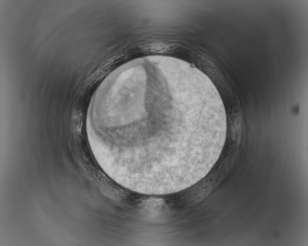 X0000115170374200912091029