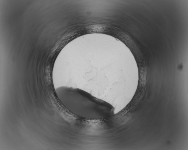 X0000115170377200912091029