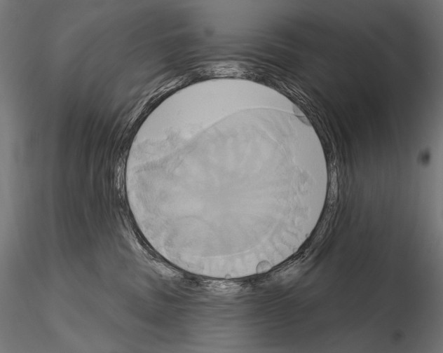 X0000115170379200912091029