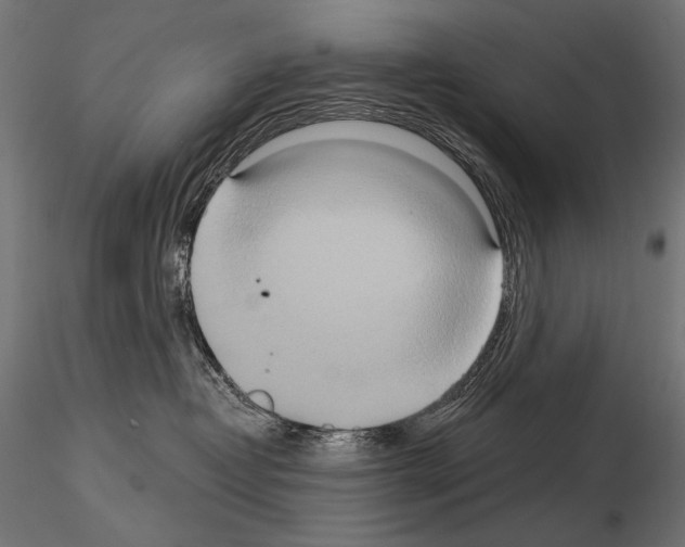 X0000115170382200912091029