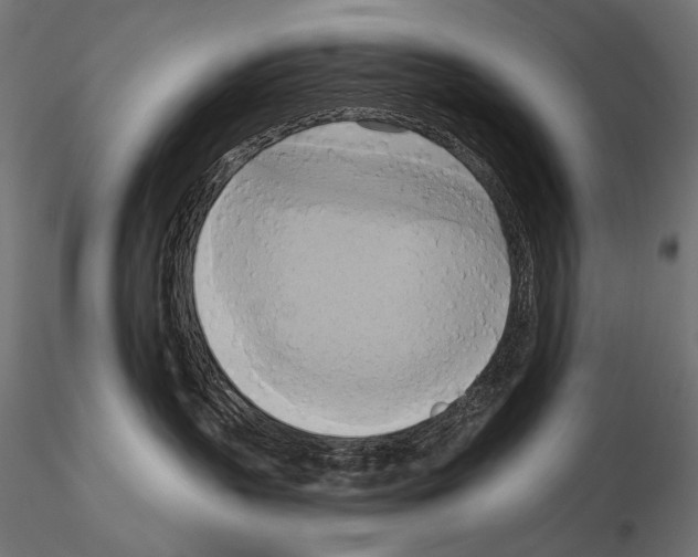 X0000115170383200912091029