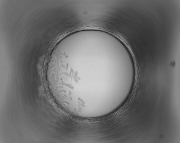 X0000115170385200912091029