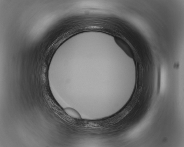 X0000115170387200912091029